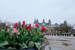 2024 03 Amsterdam 032