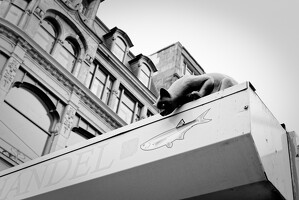 2024 03 Amsterdam 153 BW