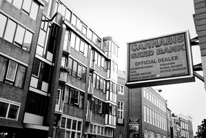 2024 03 Amsterdam 169