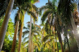 2024-10-24 egypte jour5 129