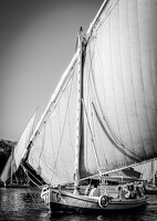 2024-10-24 egypte jour5 142