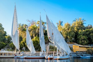 2024-10-24 egypte jour5 140