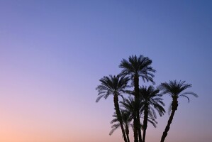 2024-10-27 egypte jour8 012