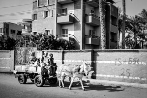 2024-10-29 egypte jour10 066