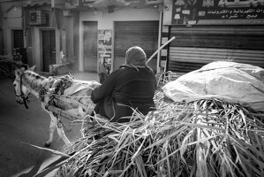 2024-10-29 egypte jour10 067