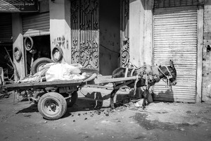 2024-10-29 egypte jour10 079