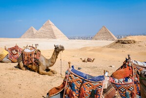 2024-10-29 egypte jour10 130