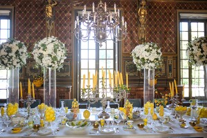 2025-08 Chateau Cheverny 004