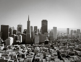 2005 SanFrancisco 17