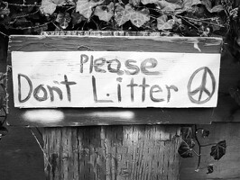 2005 SausalitoBolinas 39