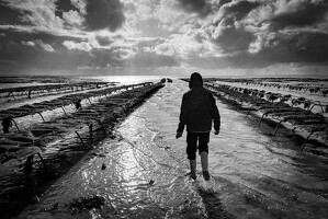 2025 10 Normandie 004