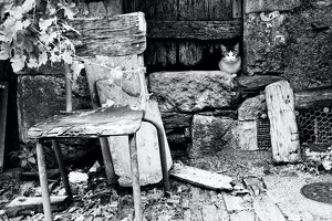 2014 08 vacances 359