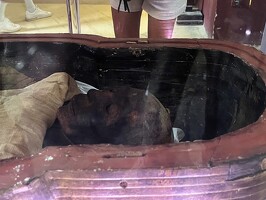 2024-10-28 egypte jour9 031